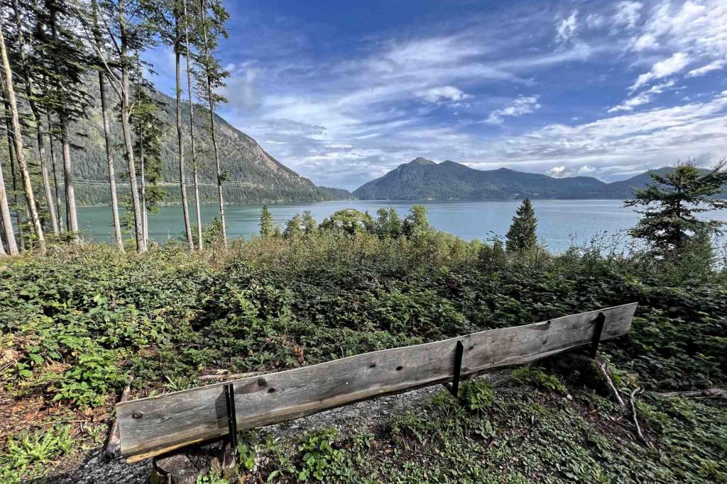 Walchensee Halbinsel Zwergern