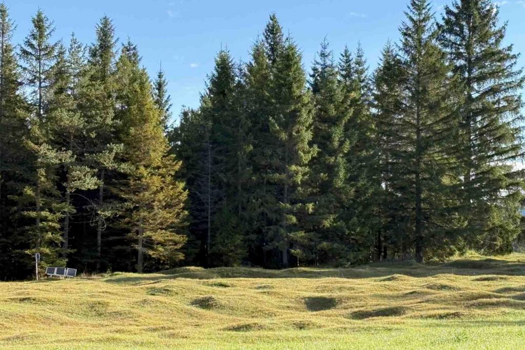 Klais Am Quicken Ausläufer Buckelwiesen